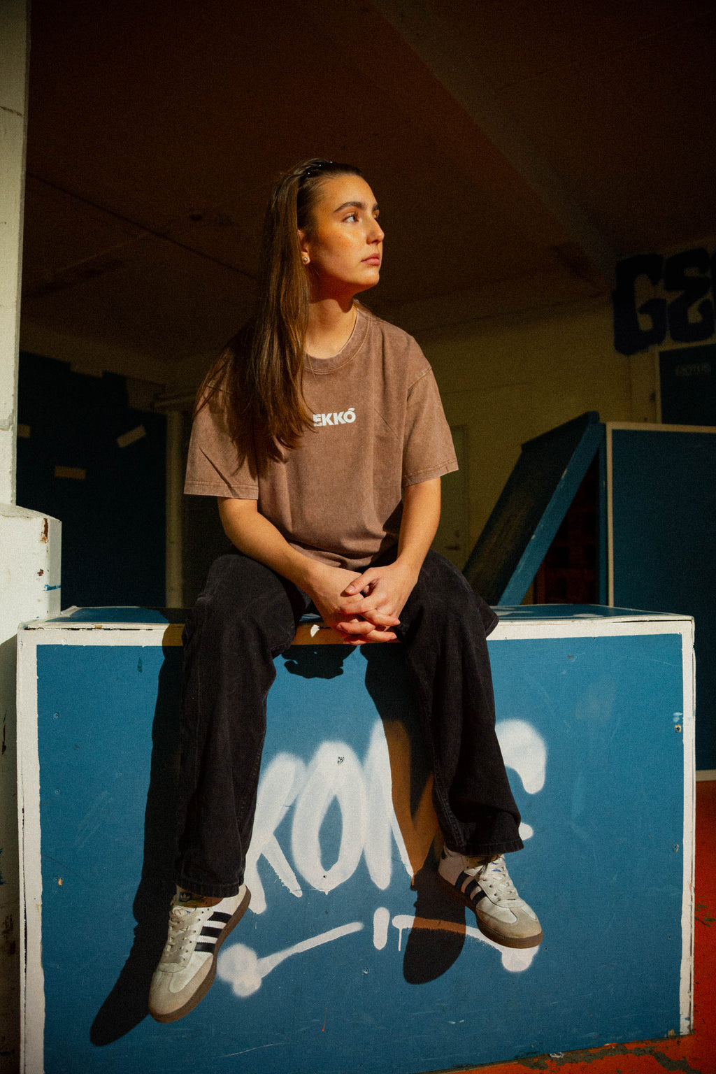 EKKÓ Ltd.Ed. NKH3D oversized tee, brunt — framman, sitandi
